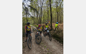 Critérium départemental