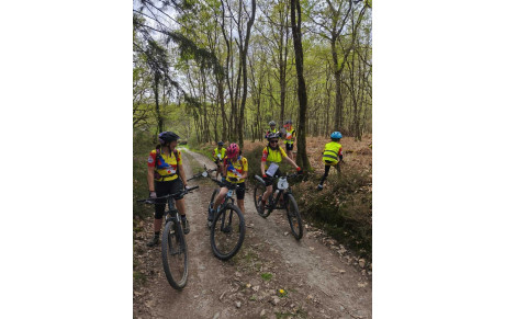 Critérium départemental